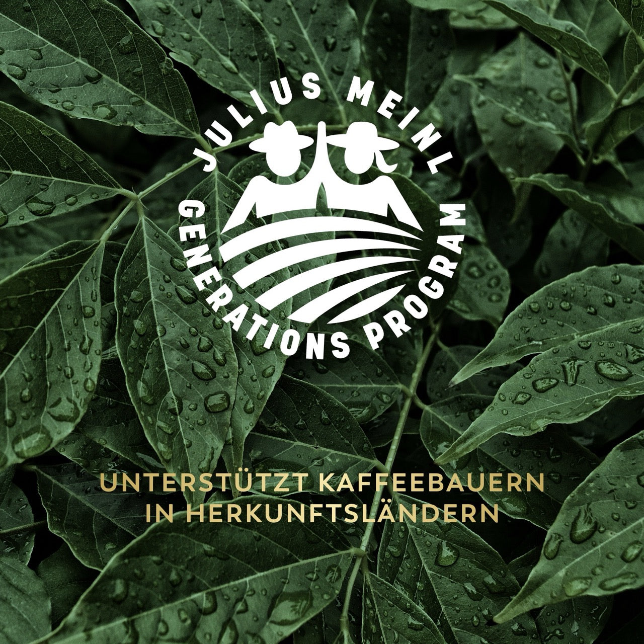 Colección Premium de Viena Crema Espresso Elite 1 kg en grano